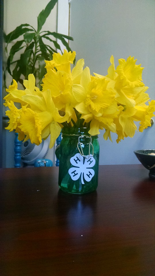 12801316_10103668751304865_3528865337540019341_n